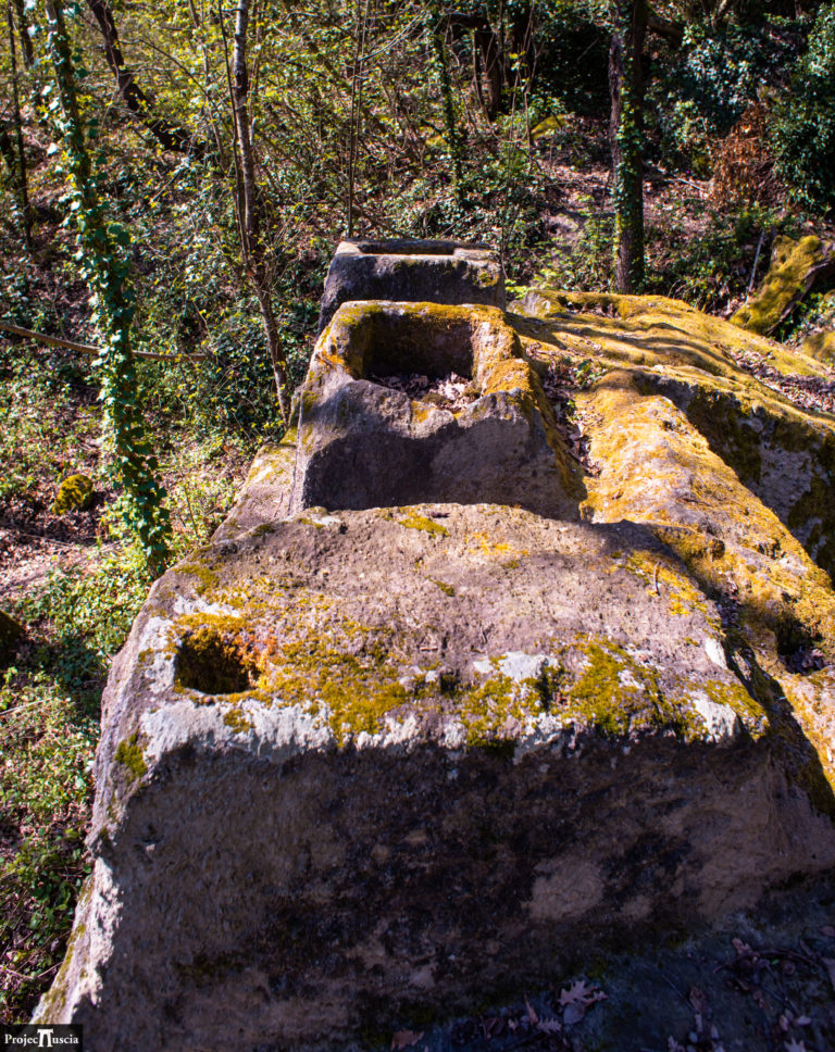 Merlature Torre Cagnemora